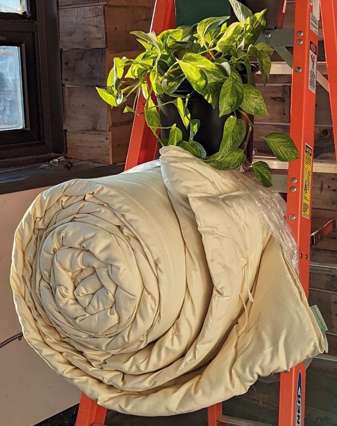 Organic cotton duvet, rolled, displayed on ladder with houseplant.