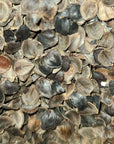 Buckwheat hulls close-up, grown in the US, ideal for pillows and cushions, offering firm, supportive comfort.