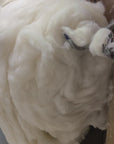 Wool Batting