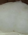 BEST Wool PillowWool is naturally antimicrobial, dust-mite resistant, soft, resilient, hypoallergenic, and naturally regulates body temperature during hot months and keeps us warm dPillowWool Pillow