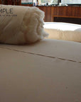 Extra Firm Cotton Mattress with natural wool layering, handcrafted for firm support.