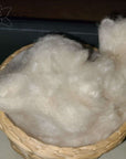 Natural kapok fiber in a basket, ideal for pillows and cushions, eco-friendly and vegan.