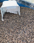 Buckwheat hulls with scoop, grown in the US, used for pillows and cushions.