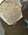 Organic buckwheat hulls for pillows and cushions, grown in the US.