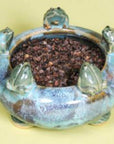 Organic buckwheat hulls in decorative pottery bowl for home use.