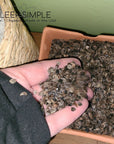 Hand holding organic buckwheat hulls grown in the US, highlighting natural benefits and versatility.