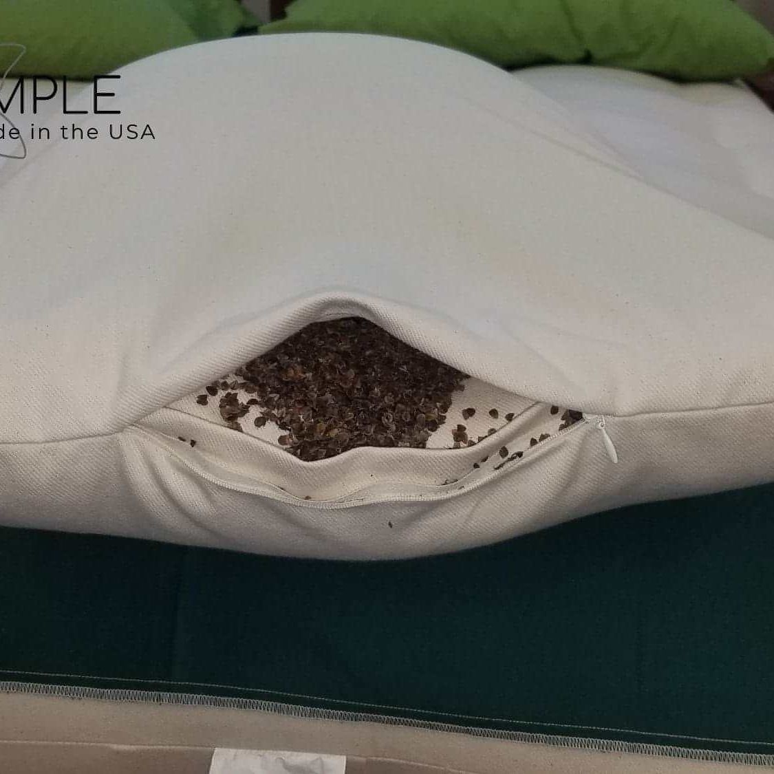 Buckwheat and wool pillow showcasing natural buckwheat hull filling.