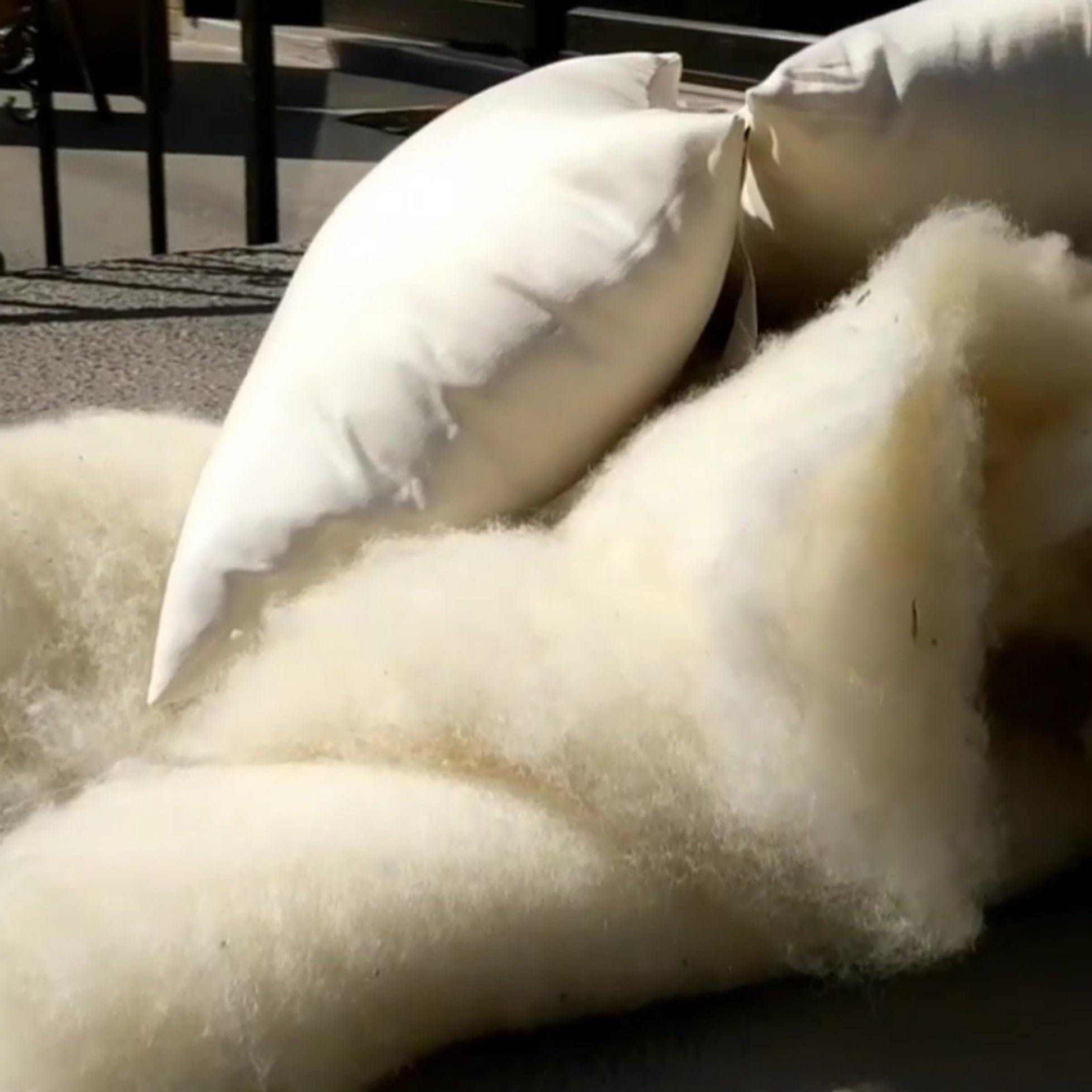 BEST Wool PillowWool is naturally antimicrobial, dust-mite resistant, soft, resilient, hypoallergenic, and naturally regulates body temperature during hot months and keeps us warm dPillowWool Pillow