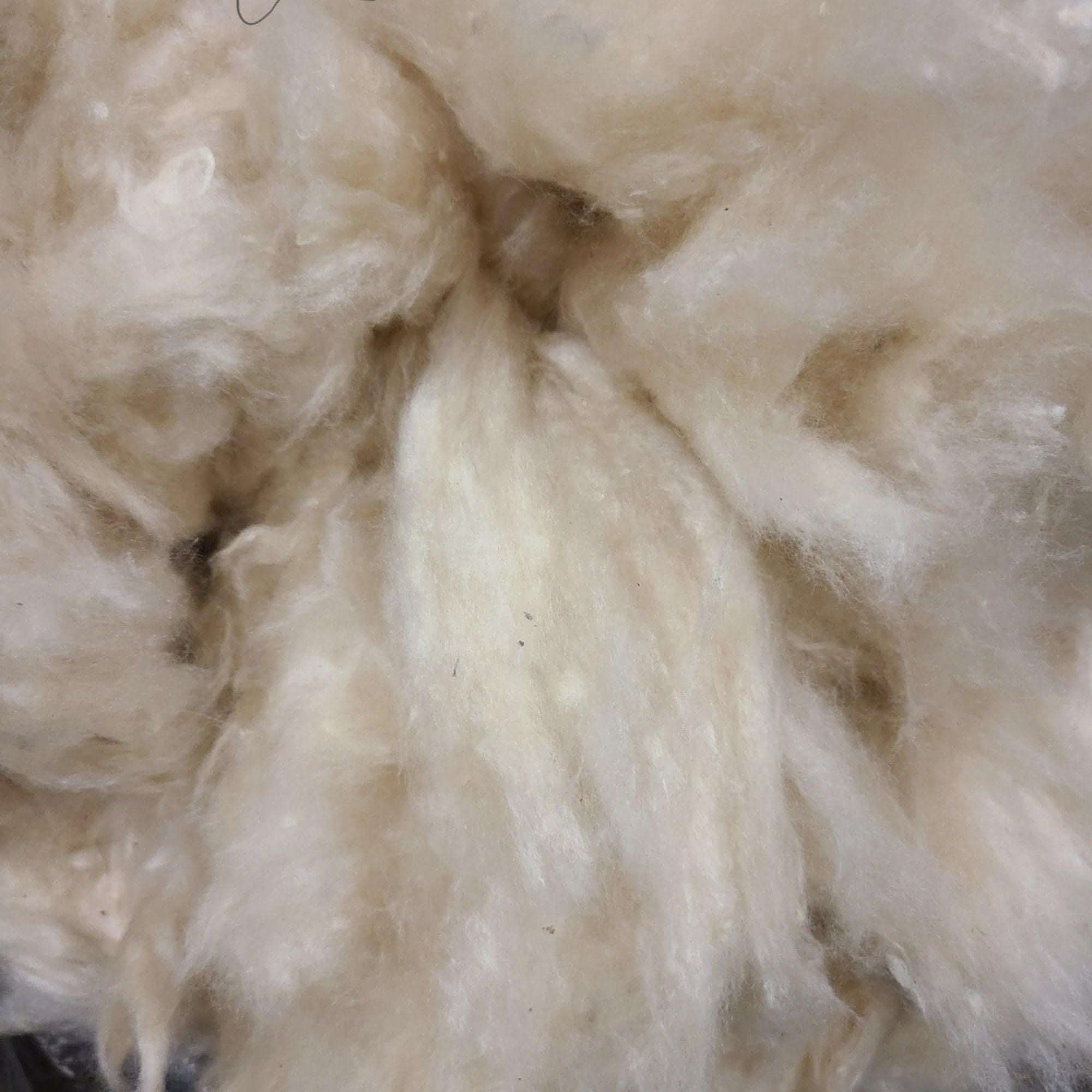 Kapok Fiber - Natural, soft, plant-based filling for pillows and cushions. Eco-friendly and hypoallergenic.