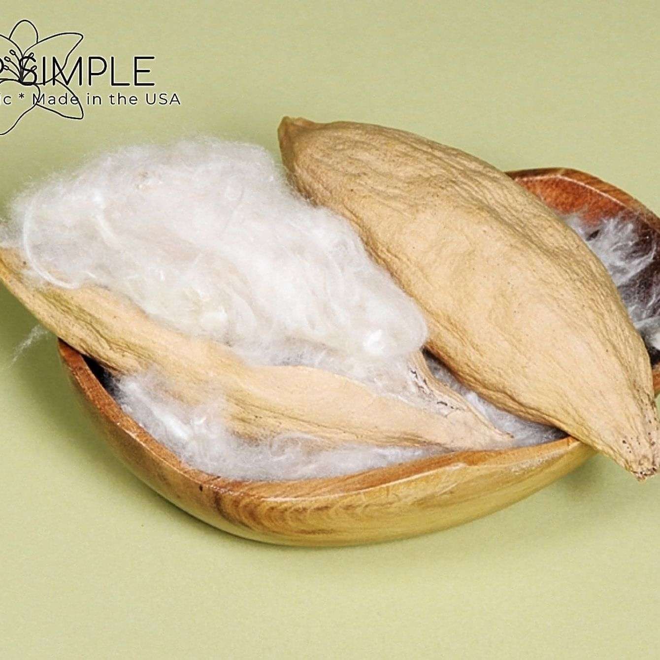 Natural kapok fiber in seed pods, eco-friendly alternative for pillows and cushions.