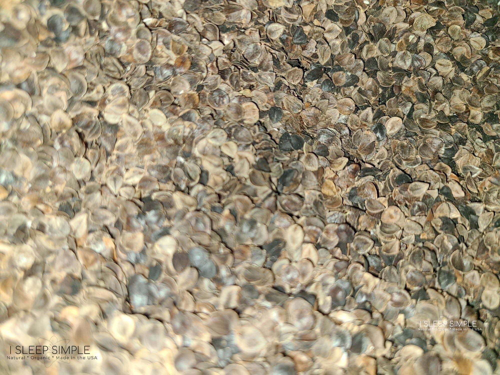 Organic buckwheat hulls, close-up view, USA-grown, ideal for pillows and cushions.